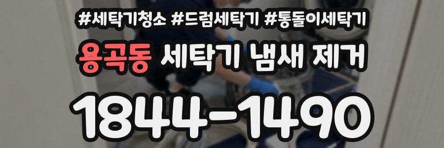 용곡동 세탁기 냄새 제거
