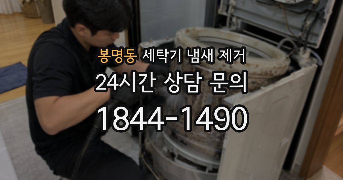 봉명동 세탁기 냄새 제거