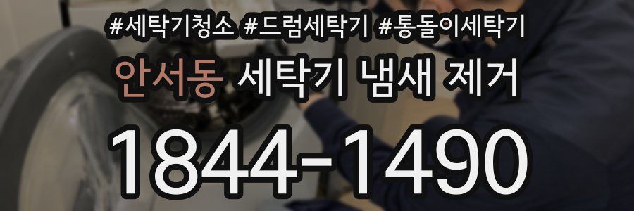 안서동 세탁기 냄새 제거