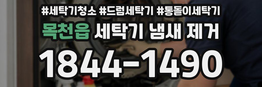 목천읍 세탁기 냄새 제거