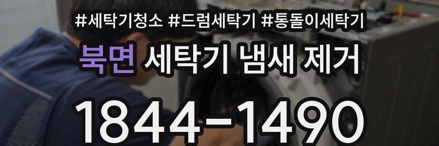 북면 세탁기 냄새 제거