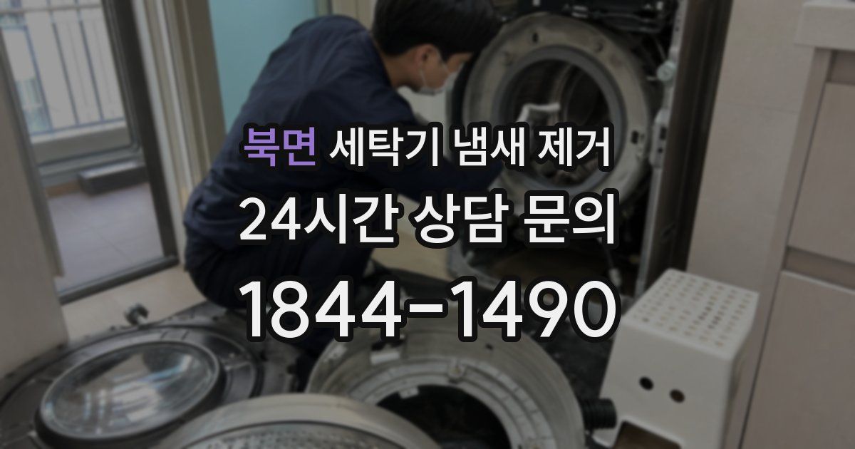 북면 세탁기 냄새 제거