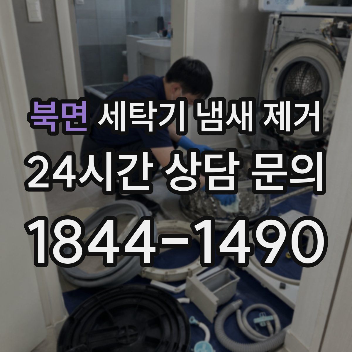 북면 세탁기 냄새 제거