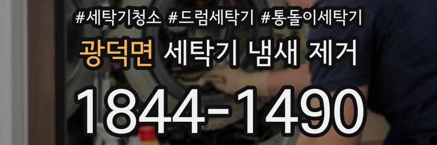 광덕면 세탁기 냄새 제거
