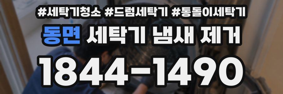 동면 세탁기 냄새 제거