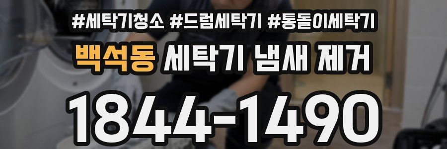 백석동 세탁기 냄새 제거