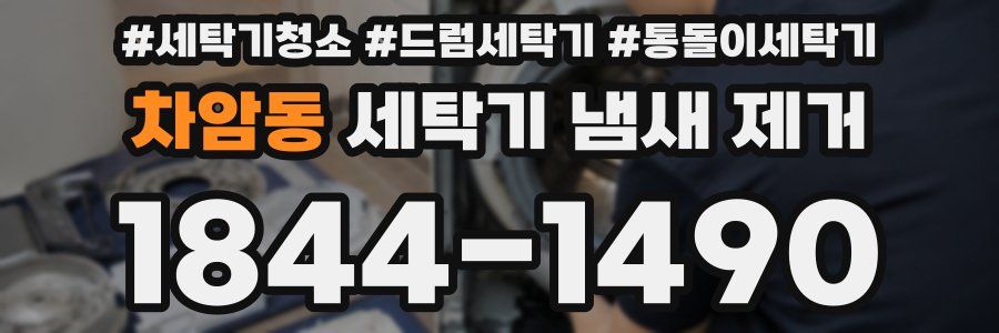 차암동 세탁기 냄새 제거