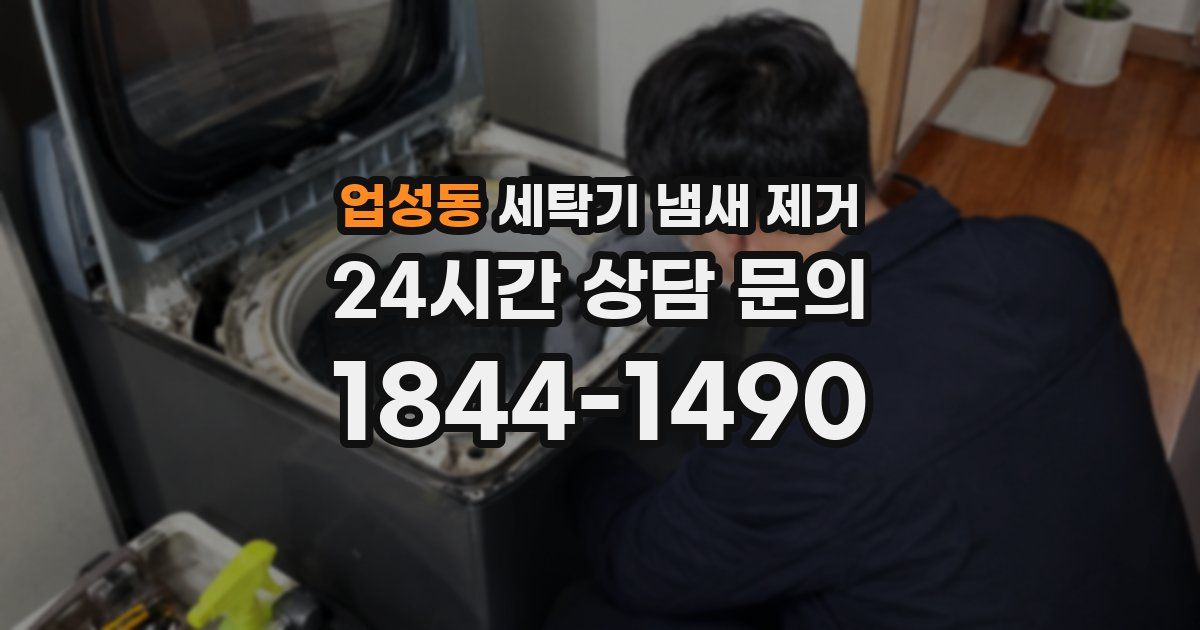 업성동 세탁기 냄새 제거