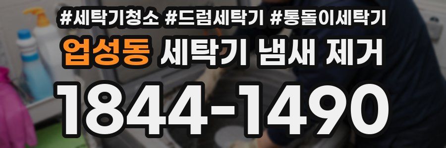 업성동 세탁기 냄새 제거