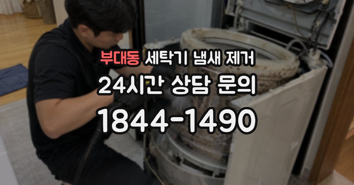 부대동 세탁기 냄새 제거