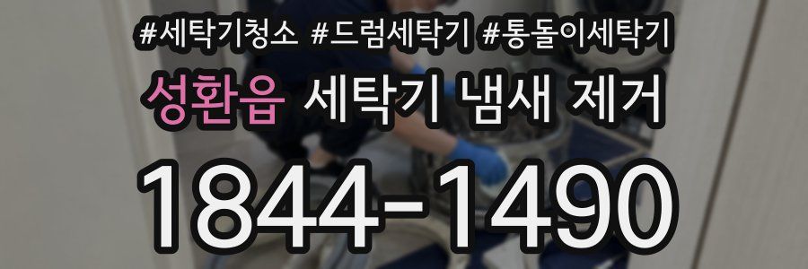 성환읍 세탁기 냄새 제거