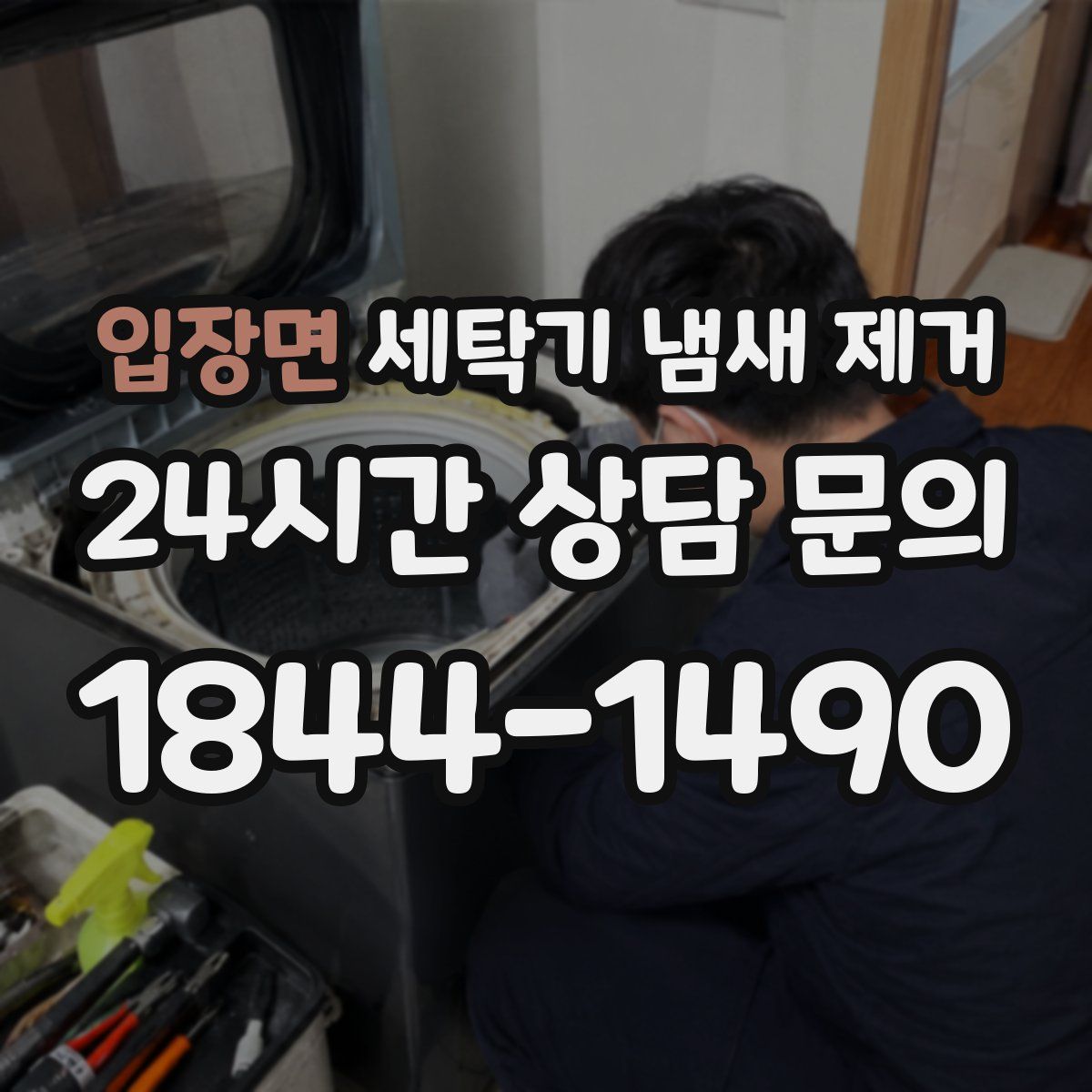 입장면 세탁기 냄새 제거
