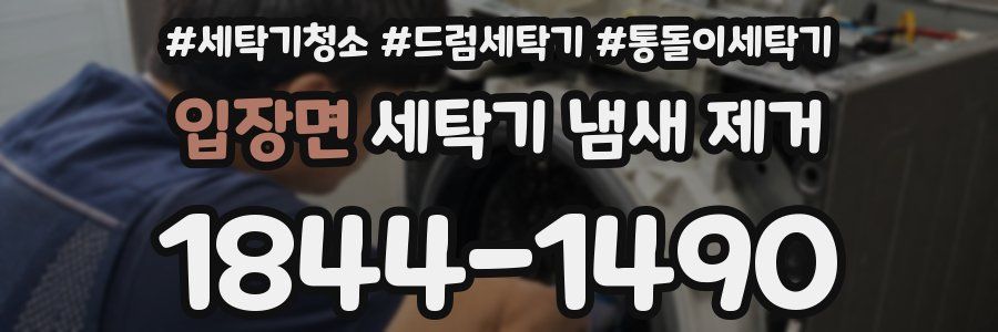 입장면 세탁기 냄새 제거