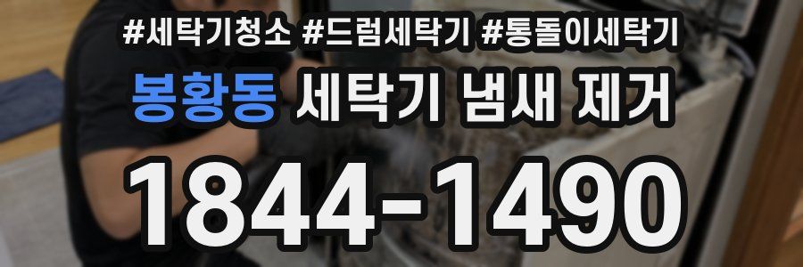 봉황동 세탁기 냄새 제거