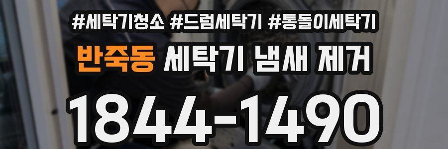 반죽동 세탁기 냄새 제거