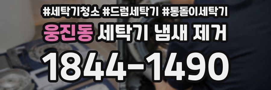 웅진동 세탁기 냄새 제거