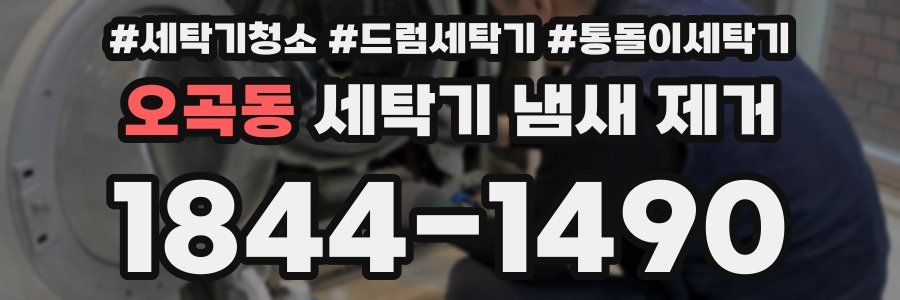 오곡동 세탁기 냄새 제거