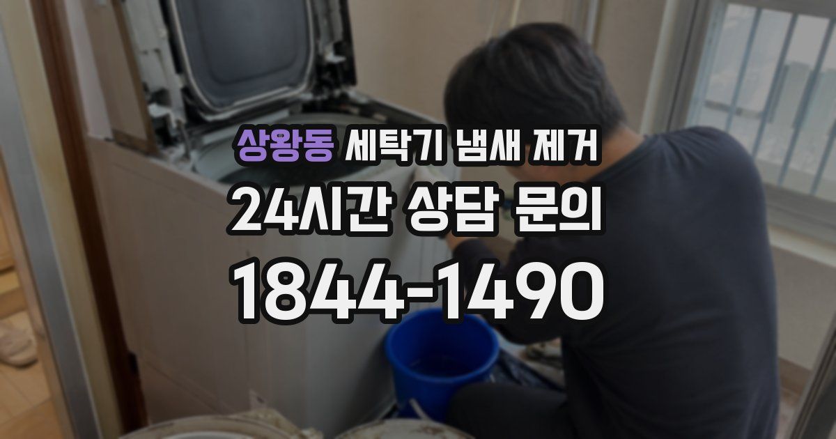 상왕동 세탁기 냄새 제거
