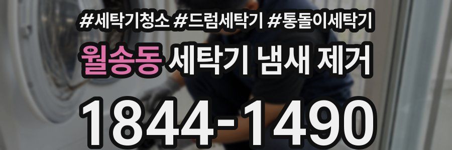 월송동 세탁기 냄새 제거