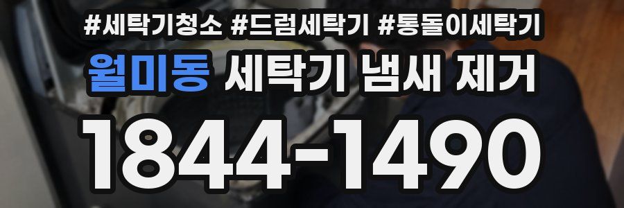 월미동 세탁기 냄새 제거