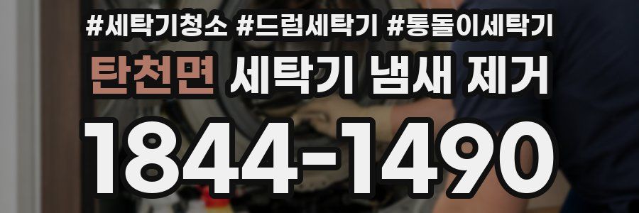 탄천면 세탁기 냄새 제거