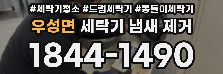 우성면 세탁기 냄새 제거