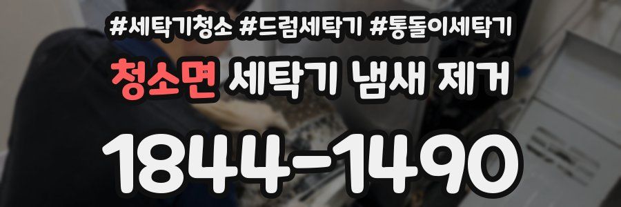 청소면 세탁기 냄새 제거