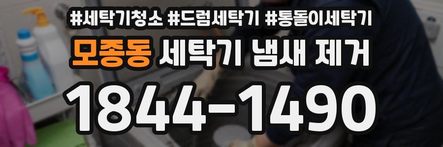 모종동 세탁기 냄새 제거