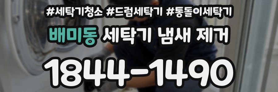 배미동 세탁기 냄새 제거