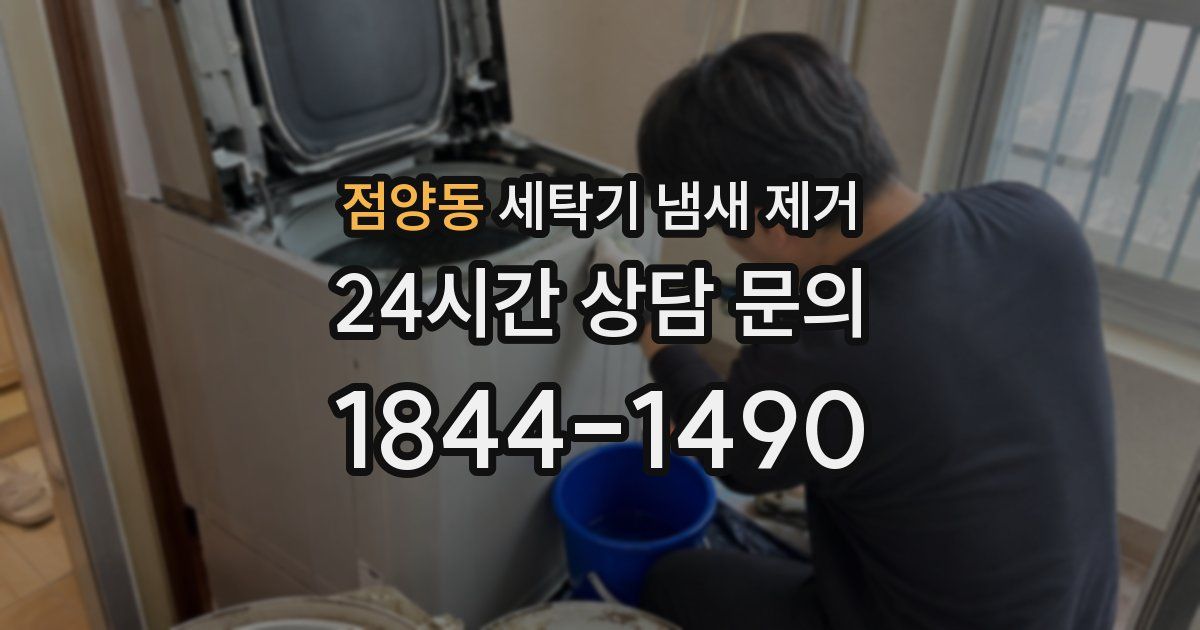 점양동 세탁기 냄새 제거