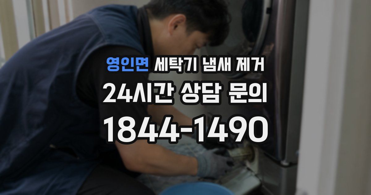 영인면 세탁기 냄새 제거