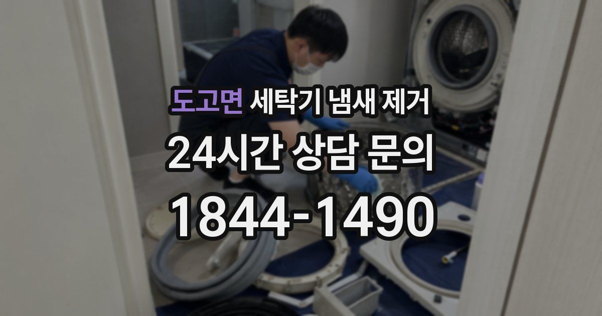 도고면 세탁기 냄새 제거