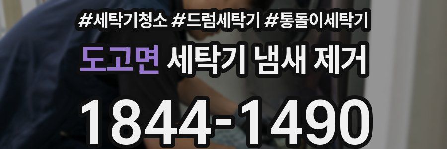 도고면 세탁기 냄새 제거