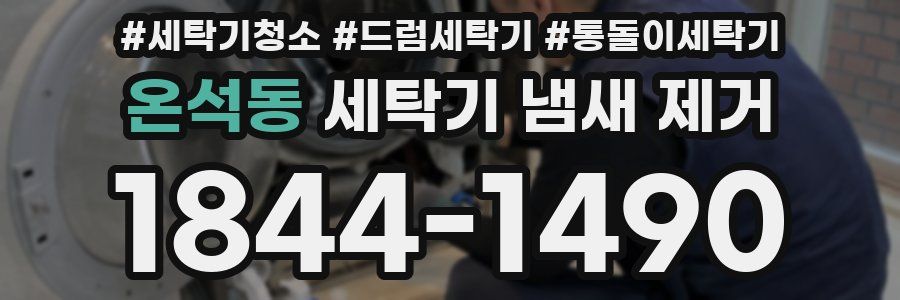 온석동 세탁기 냄새 제거