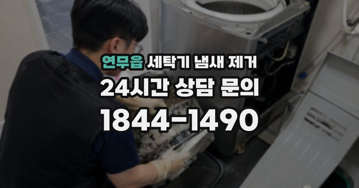 연무읍 세탁기 냄새 제거
