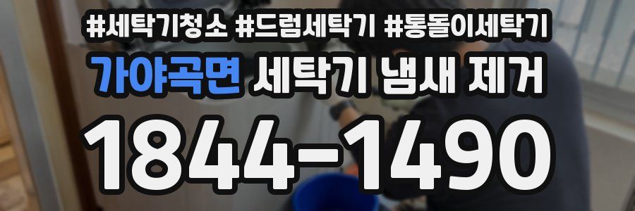 가야곡면 세탁기 냄새 제거