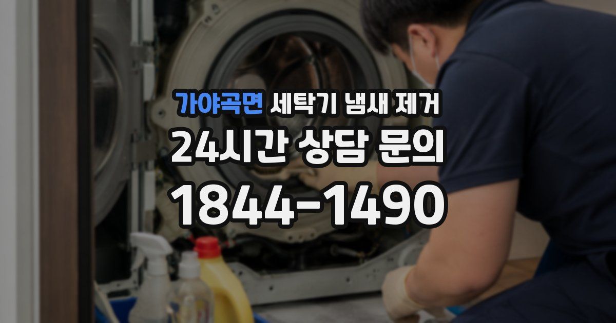 가야곡면 세탁기 냄새 제거