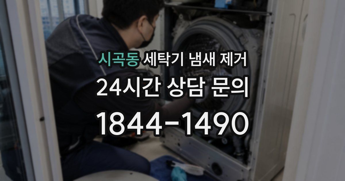 시곡동 세탁기 냄새 제거