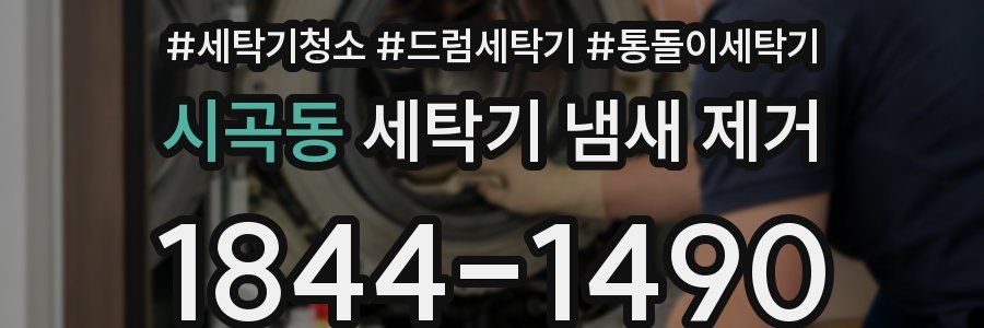 시곡동 세탁기 냄새 제거