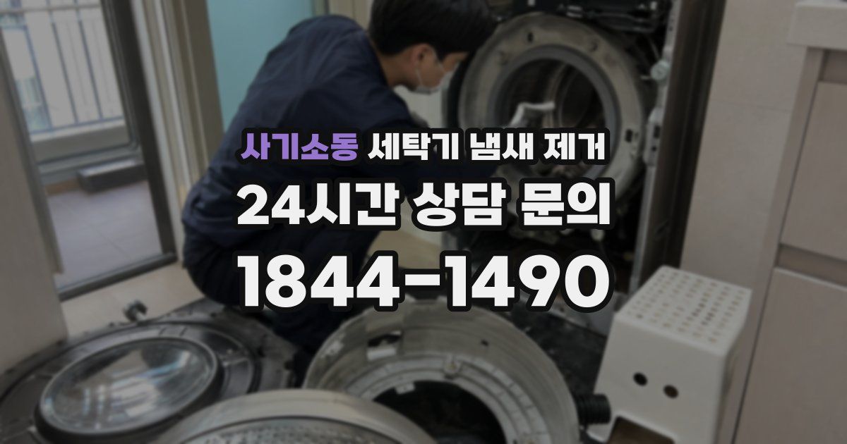 사기소동 세탁기 냄새 제거