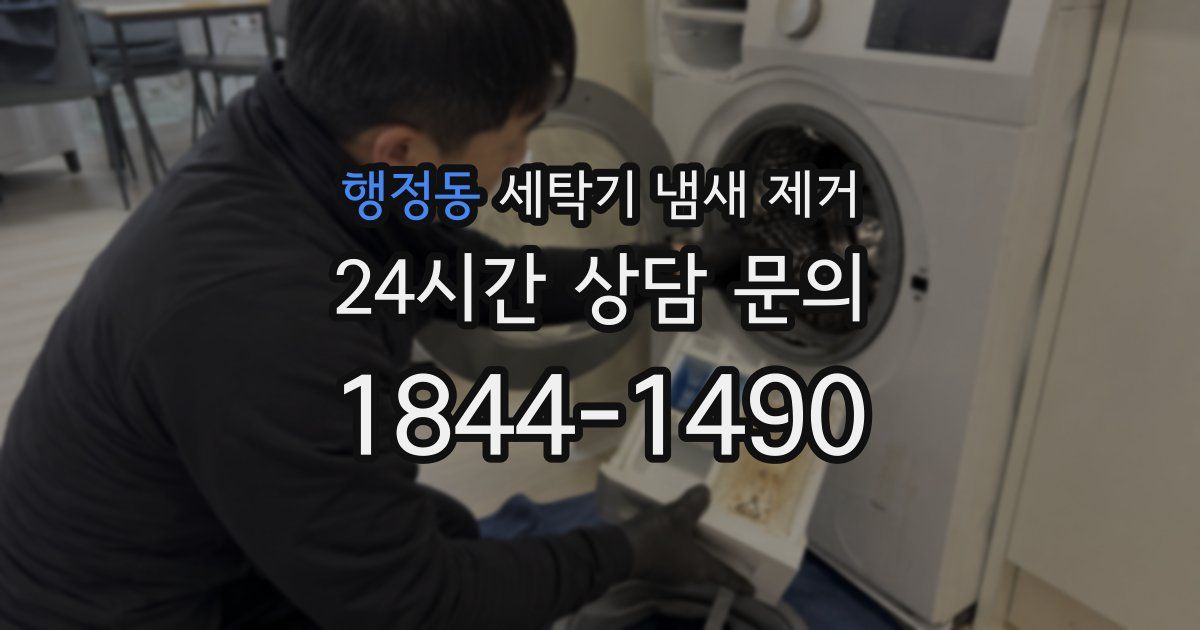 행정동 세탁기 냄새 제거