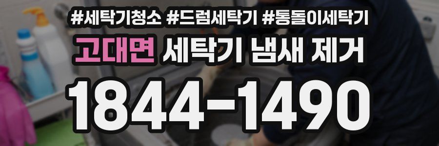 고대면 세탁기 냄새 제거