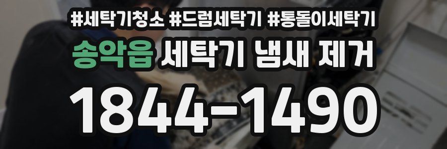 송악읍 세탁기 냄새 제거