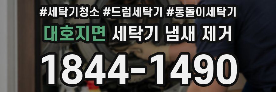 대호지면 세탁기 냄새 제거