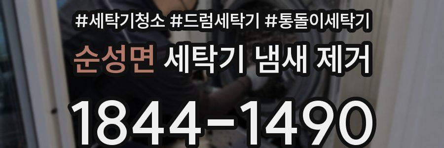 순성면 세탁기 냄새 제거