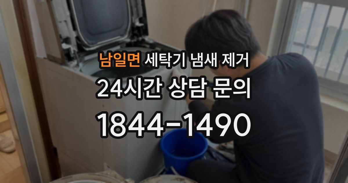 남일면 세탁기 냄새 제거