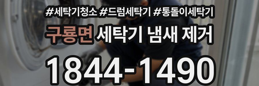 구룡면 세탁기 냄새 제거