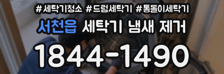 서천읍 세탁기 냄새 제거