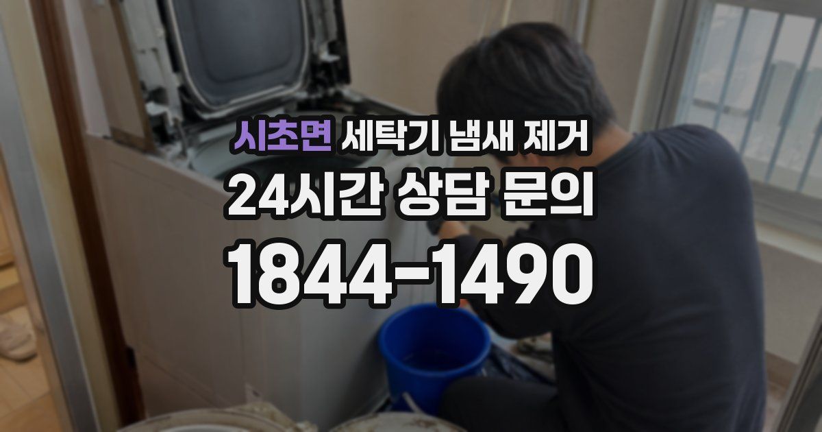 시초면 세탁기 냄새 제거