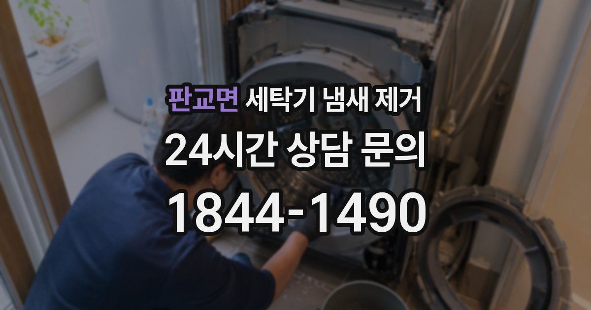 판교면 세탁기 냄새 제거